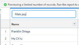 Screenshot showing report name changes to male pay